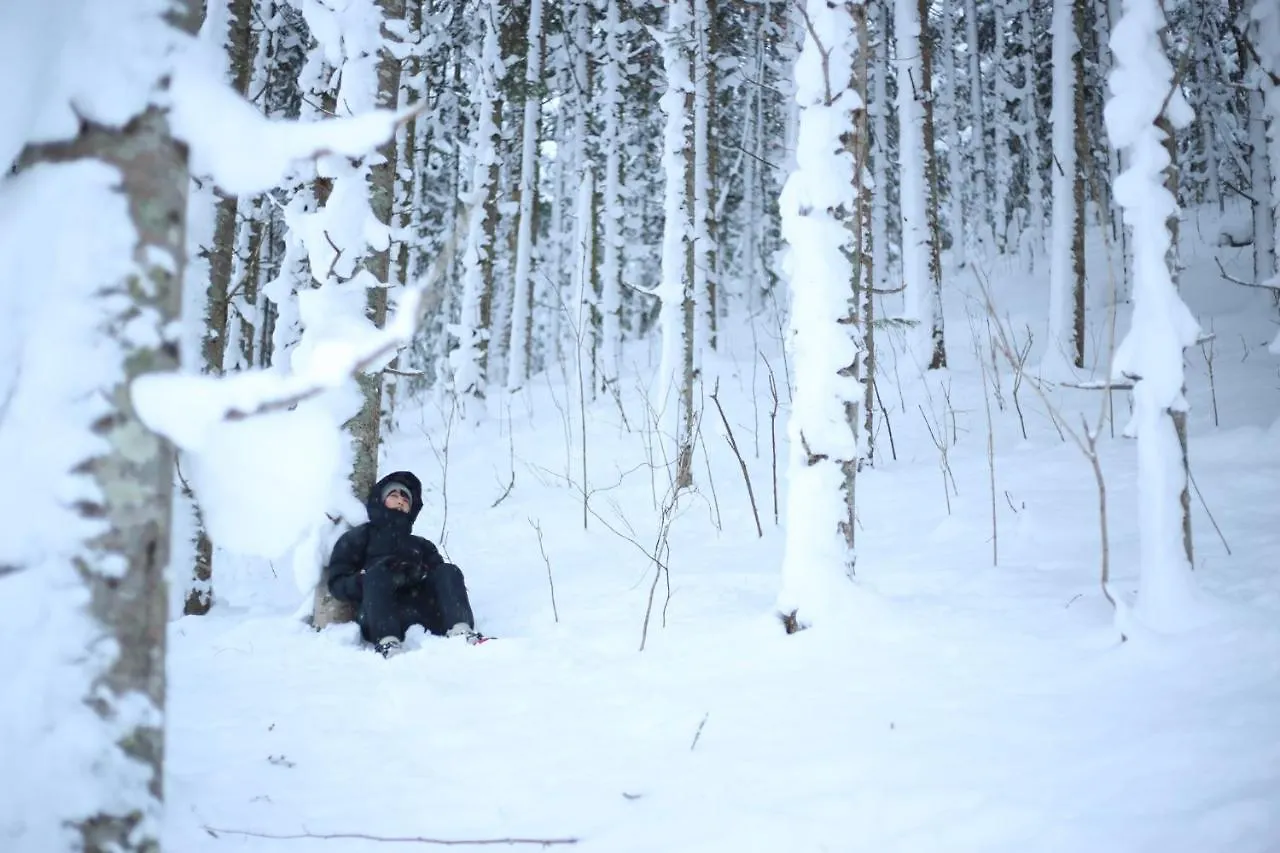 A-Frame Cabin Iwor - Vacation Stay 36172V Shimokawa