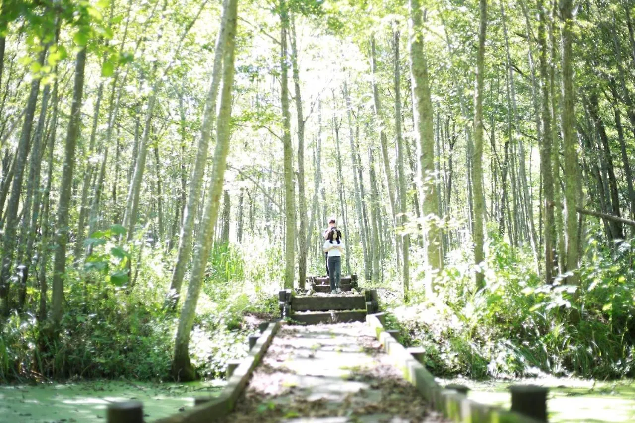 Hébergement de vacances A-Frame Cabin Iwor - Vacation Stay 36172V Shimokawa